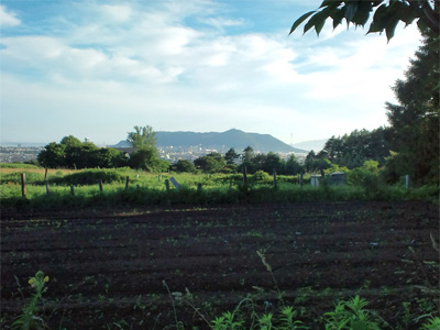 NقɋAƂA